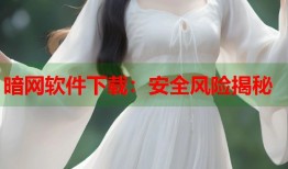 暗网软件下载：安全风险揭秘