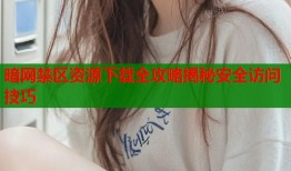 暗网禁区资源下载全攻略揭秘安全访问技巧