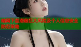 暗网下载潜藏巨大风险及个人信息安全防范策略