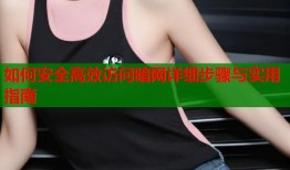 如何安全高效访问暗网详细步骤与实用指南