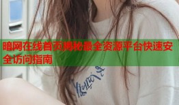 暗网在线首页揭秘最全资源平台快速安全访问指南
