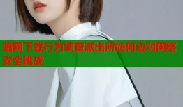 暗网下载行为调查派出所如何应对网络安全挑战