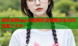 暗区禁网app功能解析及暗网安全访问指南三十字