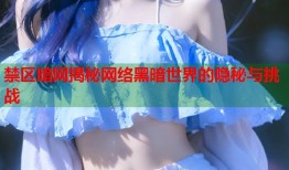 禁区暗网揭秘网络黑暗世界的隐秘与挑战