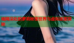 暗网深处的萝莉秘密世界与虚拟迷雾探秘