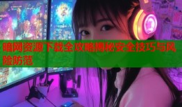 暗网资源下载全攻略揭秘安全技巧与风险防范