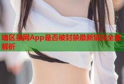 暗区禁网App是否被封禁最新情况全面解析