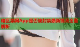 暗区禁网App是否被封禁最新情况全面解析