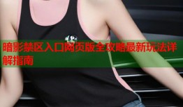 暗影禁区入口网页版全攻略最新玩法详解指南