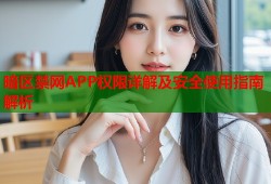 暗区禁网APP权限详解及安全使用指南解析