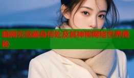 暗网究竟藏身何处及其神秘网络世界揭秘