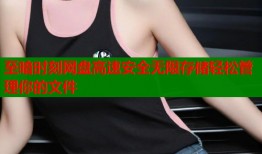 至暗时刻网盘高速安全无限存储轻松管理你的文件
