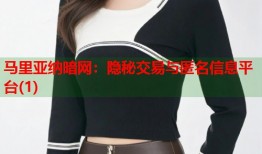 马里亚纳暗网：隐秘交易与匿名信息平台(1)