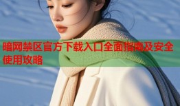 暗网禁区官方下载入口全面指南及安全使用攻略