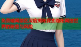 免费暗网禁区深度揭秘探索隐秘网络世界的秘密与风险
