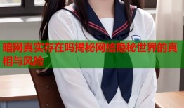 暗网真实存在吗揭秘网络隐秘世界的真相与风险