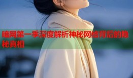 暗网第一季深度解析神秘网络背后的隐秘真相