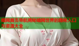暗网首页导航揭秘暗网世界的隐秘入口与资源大全