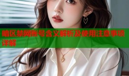 暗区禁网账号含义解析及使用注意事项详解