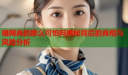 暗网真的那么可怕吗揭秘背后的真相与风险分析