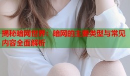 揭秘暗网世界：暗网的主要类型与常见内容全面解析