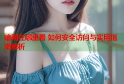 暗网在哪里看 如何安全访问与实用指南解析
