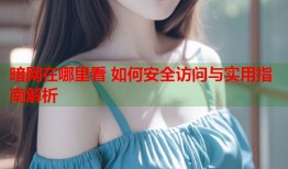 暗网在哪里看 如何安全访问与实用指南解析