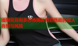 暗网究竟有多恐怖揭秘背后隐藏的惊人真相与风险