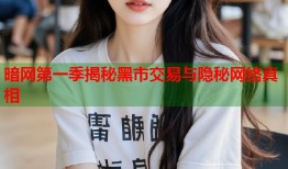 暗网第一季揭秘黑市交易与隐秘网络真相