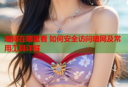 暗网在哪里看 如何安全访问暗网及常用工具详解