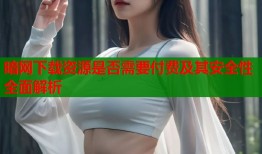 暗网下载资源是否需要付费及其安全性全面解析