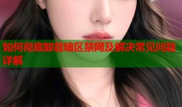 如何彻底卸载暗区禁网及解决常见问题详解