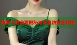 暗网下载资源揭秘与安全防护全攻略