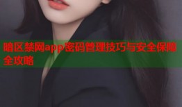 暗区禁网app密码管理技巧与安全保障全攻略
