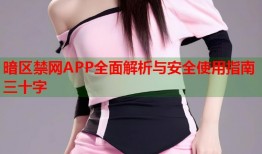 暗区禁网APP全面解析与安全使用指南三十字