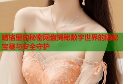 暗格里的秘密网盘揭秘数字世界的隐秘宝藏与安全守护