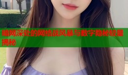 暗网深处的网络战风暴与数字隐秘较量揭秘
