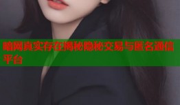暗网真实存在揭秘隐秘交易与匿名通信平台