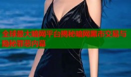 全球最大暗网平台揭秘暗网黑市交易与隐秘罪恶内幕