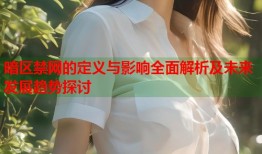 暗区禁网的定义与影响全面解析及未来发展趋势探讨