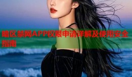 暗区禁网APP权限申请详解及使用安全指南
