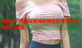 暗网407揭秘探索神秘网络世界背后的秘密与真相