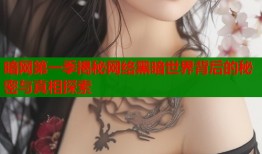 暗网第一季揭秘网络黑暗世界背后的秘密与真相探索