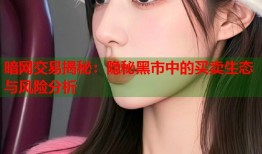 暗网交易揭秘：隐秘黑市中的买卖生态与风险分析