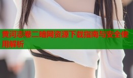 黄河志卷二暗网资源下载指南与安全使用解析
