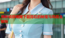 揭秘侦探暗网下载背后的秘密与风险全解析