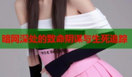 暗网深处的致命阴谋与生死追踪