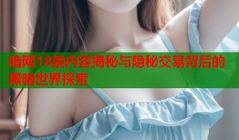暗网18禁内容揭秘与隐秘交易背后的黑暗世界探索