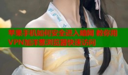 苹果手机如何安全进入暗网 教你用VPN加洋葱浏览器快速访问