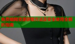 免费暗网资源获取方法及安全使用全解析指南